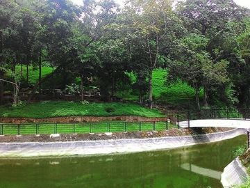 House & Lot for Sale 3BR Chopin Model, Forest Farms The Grove, Rizal, Filinvest Land
