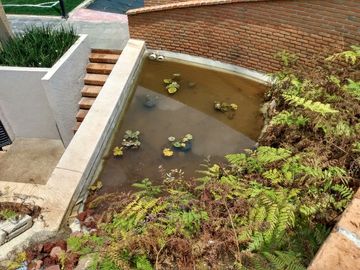 FINCA EN VENTA EN VILLA VICTORIA