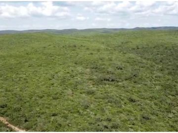 Terreno en venta San Carlos Tamaulipas