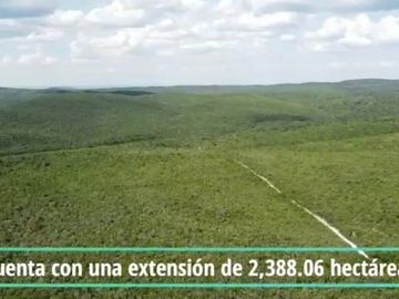 Terreno en venta San Carlos Tamaulipas