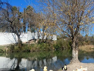 VENTA DE QUINTA CAMPESTRE, SALINAS VICTORIA, NL