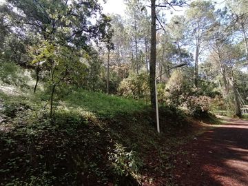 TERRENO EN BOSQUES DEL PARAÍSO IDEAL PARA CABAÑA $1,660,000