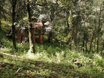 TERRENO EN BOSQUES DEL PARAÍSO IDEAL PARA CABAÑA $1,660,000