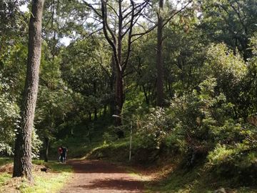 TERRENO EN BOSQUES DEL PARAÍSO IDEAL PARA CABAÑA $1,660,000