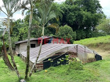 VENTA - INVIERTE EN UN FUNDO DE 94.6 HAS A 3 MINUTOS DEL CASERIO DE NUEVO PROGRESO - RAYA EN LA CIUDAD DE ISCOZACIN DEL DISTRITO DE PALCAZÚ, PROVINCIA