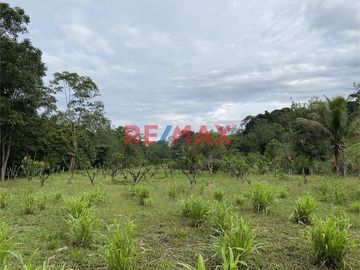 VENTA - INVIERTE EN UN FUNDO DE 94.6 HAS A 3 MINUTOS DEL CASERIO DE NUEVO PROGRESO - RAYA EN LA CIUDAD DE ISCOZACIN DEL DISTRITO DE PALCAZÚ, PROVINCIA