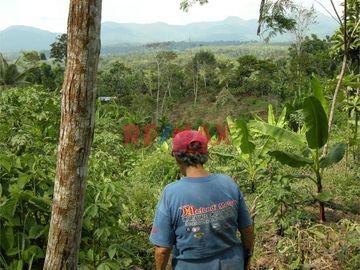 VENTA - INVIERTE EN UN FUNDO DE 94.6 HAS A 3 MINUTOS DEL CASERIO DE NUEVO PROGRESO - RAYA EN LA CIUDAD DE ISCOZACIN DEL DISTRITO DE PALCAZÚ, PROVINCIA