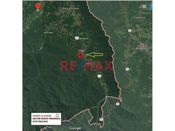 VENTA - INVIERTE EN UN FUNDO DE 94.6 HAS A 3 MINUTOS DEL CASERIO DE NUEVO PROGRESO - RAYA EN LA CIUDAD DE ISCOZACIN DEL DISTRITO DE PALCAZÚ, PROVINCIA