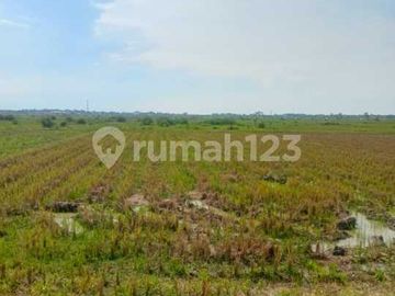 Tanah di Pelutan Zona Industri Cocok Untuk Gudan & Pabrik