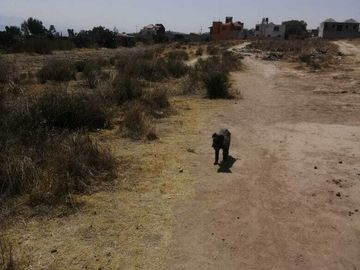 GRAN OPORTUNIDAD, TERRENO EN VENTA
