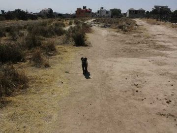 GRAN OPORTUNIDAD, TERRENO EN VENTA