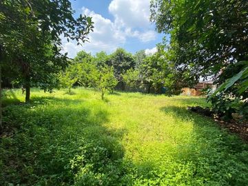 Disewakan Tanah Sangat Luas Pinggir Jalan Raya Hasyim Ashari Luas 5000 20000 M2