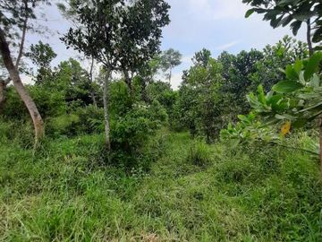 Dijual TANAH HOT HARGA NJOP murah BANGET view pegunungan kota Bandung LT 3397m&sup2; muka 30meter | jarak 2.5km ke jalan Raya