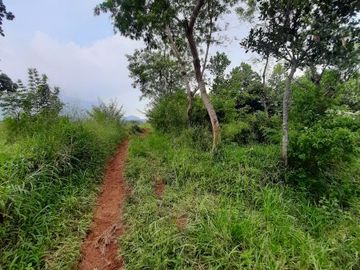 Dijual TANAH HOT HARGA NJOP murah BANGET view pegunungan kota Bandung LT 3397m&sup2; muka 30meter | jarak 2.5km ke jalan Raya