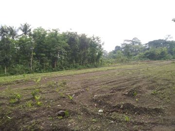 Tanah Murah Sleman, Kawasan Pemukiman, Legalitas SHM