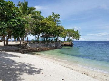 1 Bedroom Beachfront Condominium in Tambuli Seaside Living Mactan