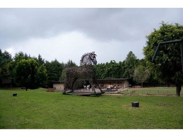 JARDÍN PARA EVENTOS SOCIALES