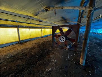 Vendo Campo de 3,5 Has con granja en Pronunciamiento, Entre Ríos.