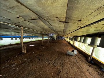 Vendo Campo de 3,5 Has con granja en Pronunciamiento, Entre Ríos.