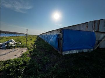 Vendo Campo de 3,5 Has con granja en Pronunciamiento, Entre Ríos.