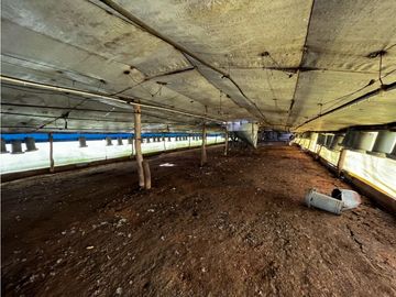 Vendo Campo de 3,5 Has con granja en Pronunciamiento, Entre Ríos.