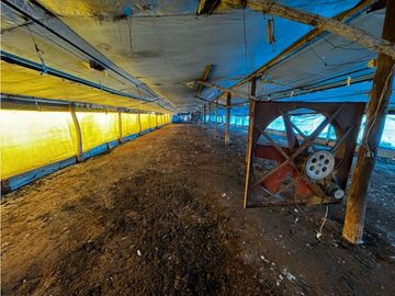 Vendo Campo de 3,5 Has con granja en Pronunciamiento, Entre Ríos.