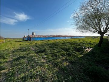 Vendo Campo de 3,5 Has con granja en Pronunciamiento, Entre Ríos.