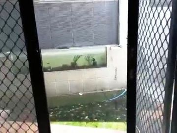SEWA Rumah di Pejaten dalam cluster 2lantai security 24 jam