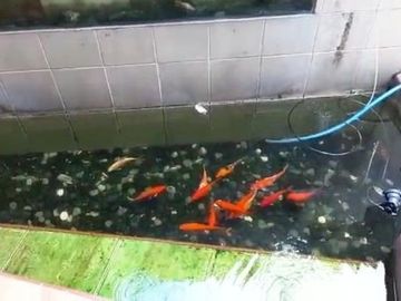 SEWA Rumah di Pejaten dalam cluster 2lantai security 24 jam
