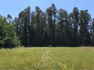 Parcela en Venta en Lo Patricio a orilla de camino