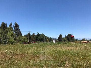 Parcela en Venta en Lo Patricio a orilla de camino