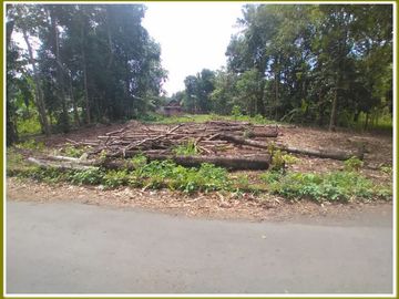 Rumah Classic Jawa Di Lokasi Strategis Desa Randusari
