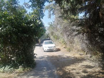 Sitio en Venta en PALENA / ALICAHUE