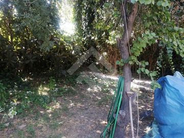 Sitio en Venta en PALENA / ALICAHUE