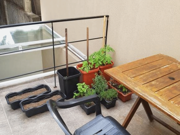 RECICLADO, EXCELENTE - PH en PB en Venta en Caballito 3 ambientes (1 dormitorio) 67 m2 + patio y terraza propios - Av Juan B. Alberdi 1200