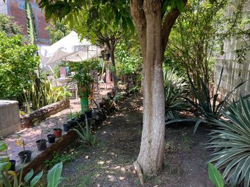 PROPIEDAD EN COL ISAAC ARRIAGA MORELIA MICH.