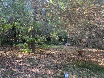 Sitio en Venta en Cam. El Alba-El Algarrobo