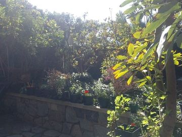Casa en venta en Valparaíso