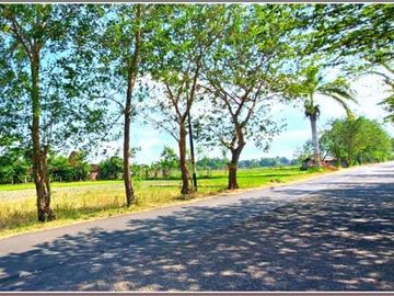 Mangku Jalan, Tanah Megah 3Jt-An di Prambanan