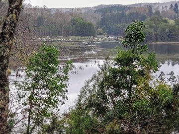 Linda Parcela De 6000m2 Con Vista Al Río Cayumapu, Valdivia