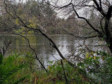 Linda Parcela De 6000m2 Con Vista Al Río Cayumapu, Valdivia