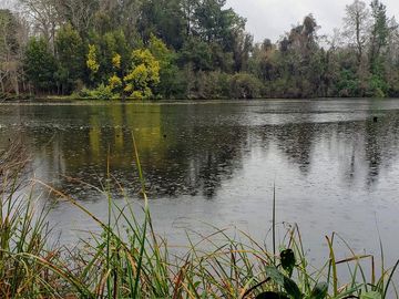 Linda Parcela De 6000m2 Con Vista Al Río Cayumapu, Valdivia