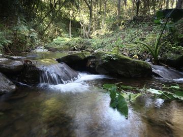 RANCHO LAS GARDENIAS EN VENTA