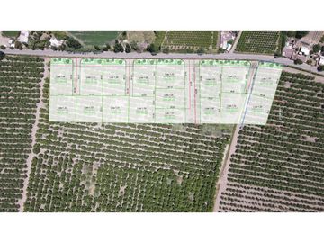 Venta de Terrenos Urbanos de 1250m2 útiles con Nogales en San Esteban