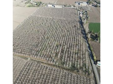 Venta de Terrenos Urbanos de 1250m2 útiles con Nogales en San Esteban
