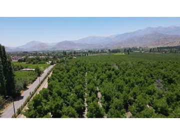 Venta de Terrenos Urbanos de 1250m2 útiles con Nogales en San Esteban