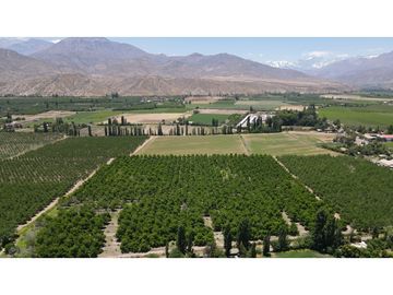 Venta de Terrenos Urbanos de 1250m2 útiles con Nogales en San Esteban