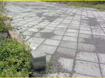 Tanah Murah Akses Jalan Lebar Timur Candi Plaosan: Terima SHM-P