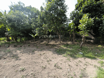 CR Tanah Pekarangan 490m2 Di Jalan Palagan Cocok Untuk Hunian