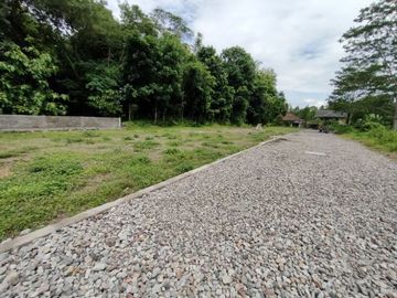 Lahan Nyaman dan Asri Cocok Bangun Hunian ; Area Ponpes Pandanaran